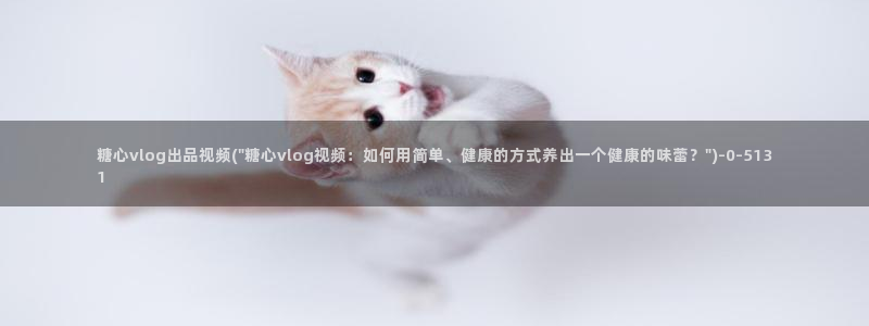 糖心vlogg