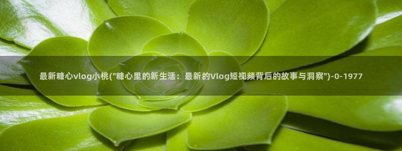 糖心viog官网