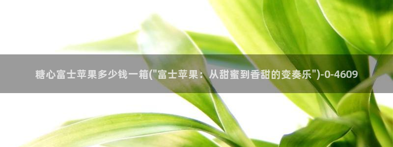 糖心vlog免费看