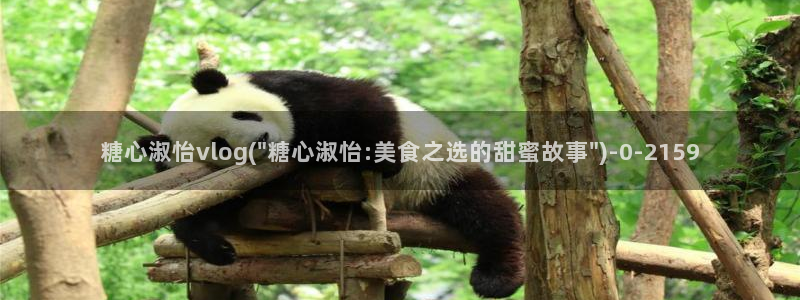 糖心vlog免费下载观看