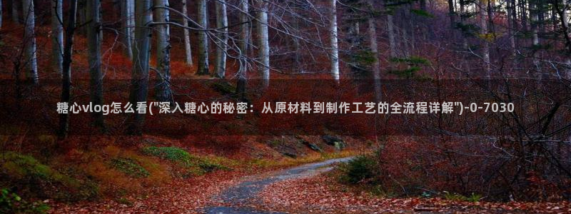 糖心vlog在线观看_糖心vlog小