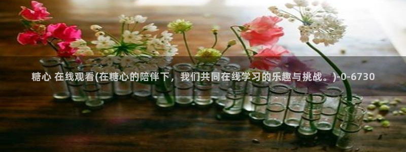 糖心心vlog