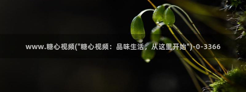 糖心vlog星辰
